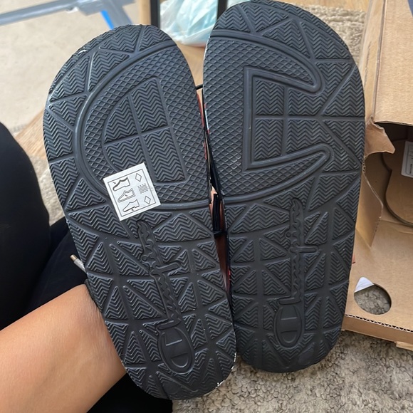 Champion Slides - Picture 3 of 3